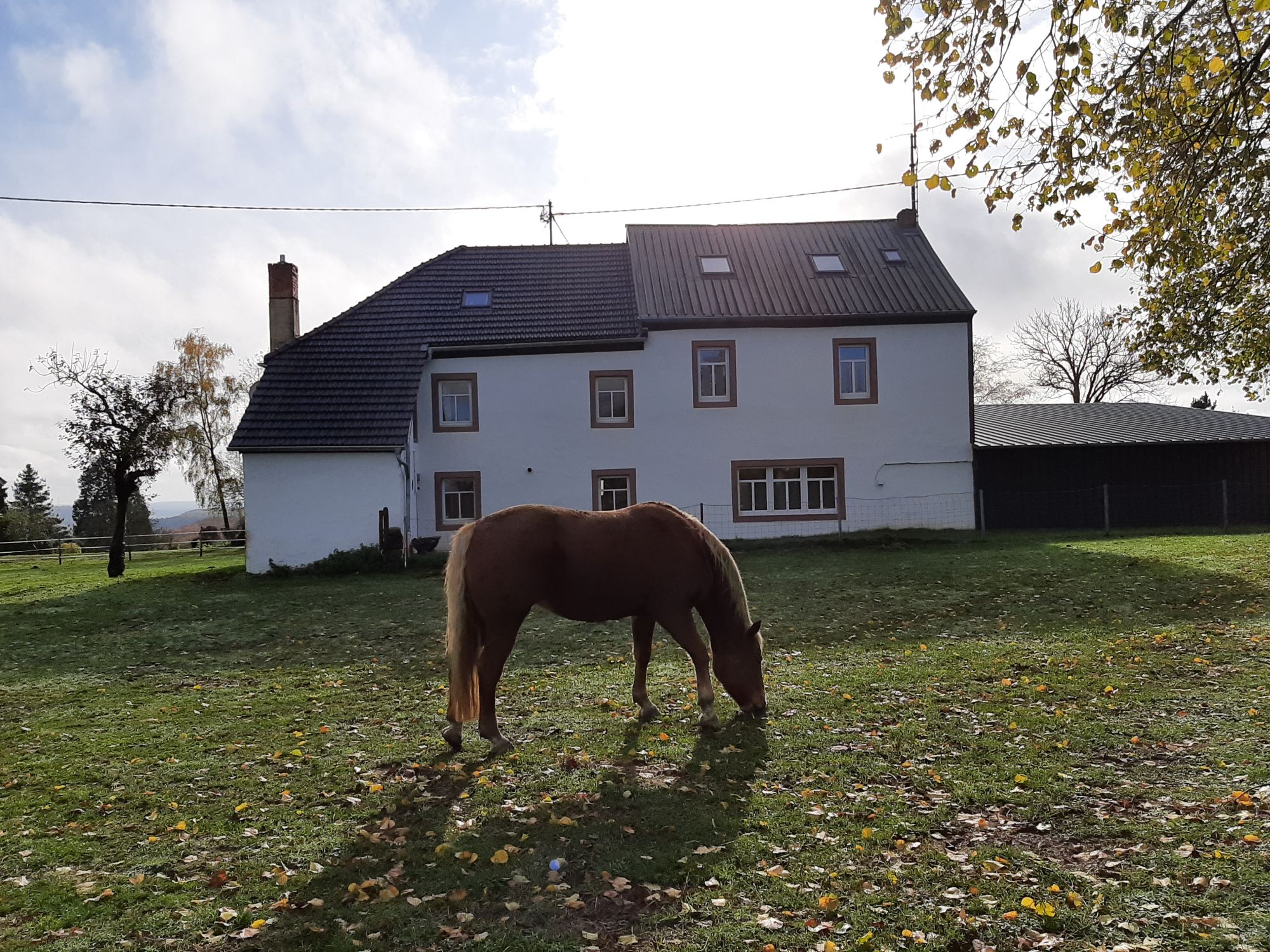 Das Eifel Ferienhaus