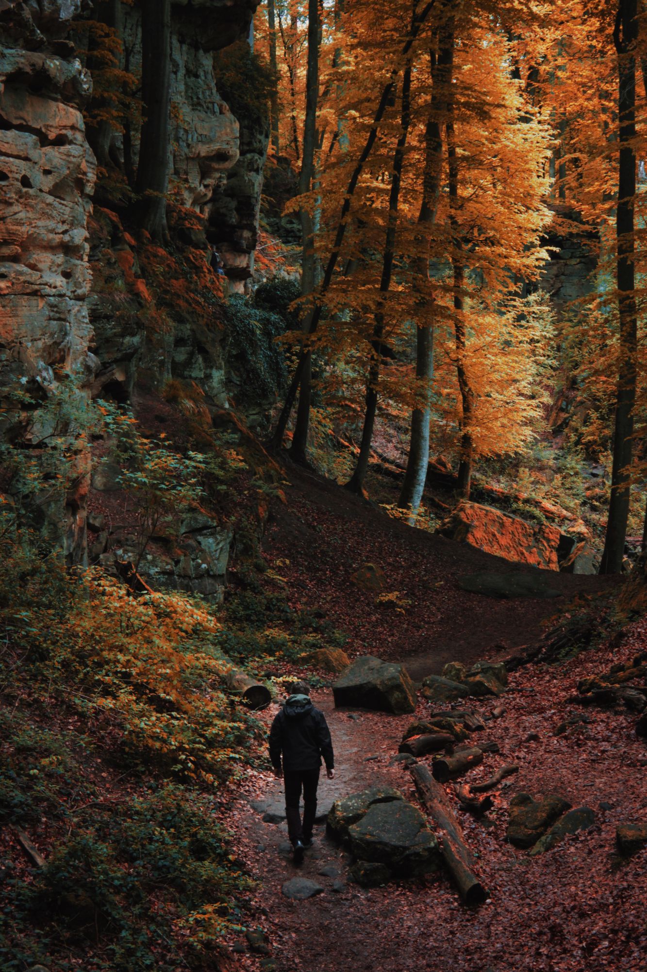 Felsenland Südeifel - Teufelsschlucht