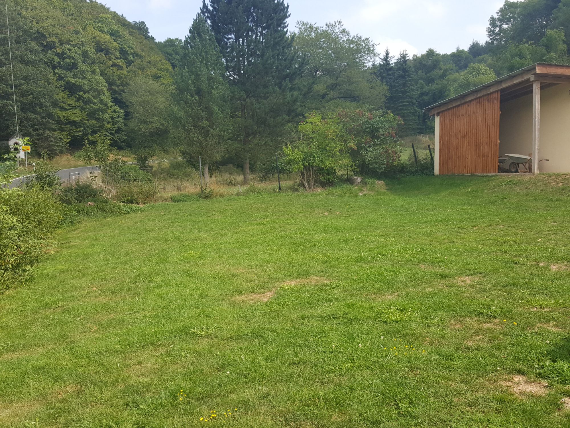 Ferienhaus Eifel Landhaus - Wiese hinter dem Haus