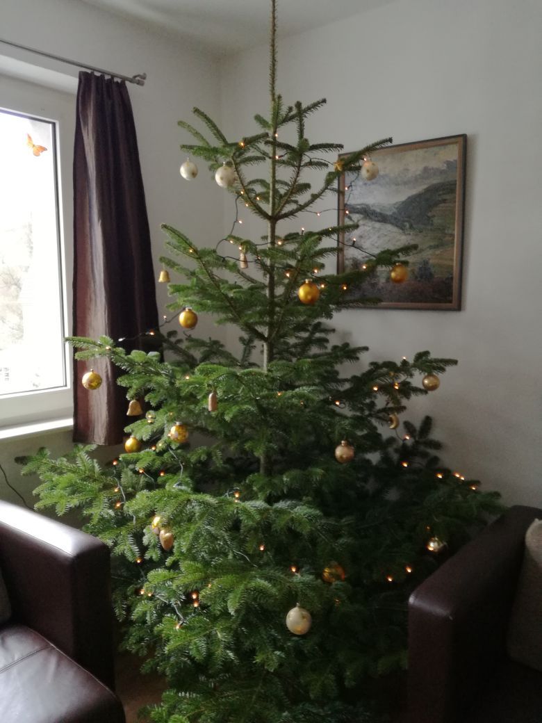 Ferienhaus Engelsdorf - Weihnachtsbaum