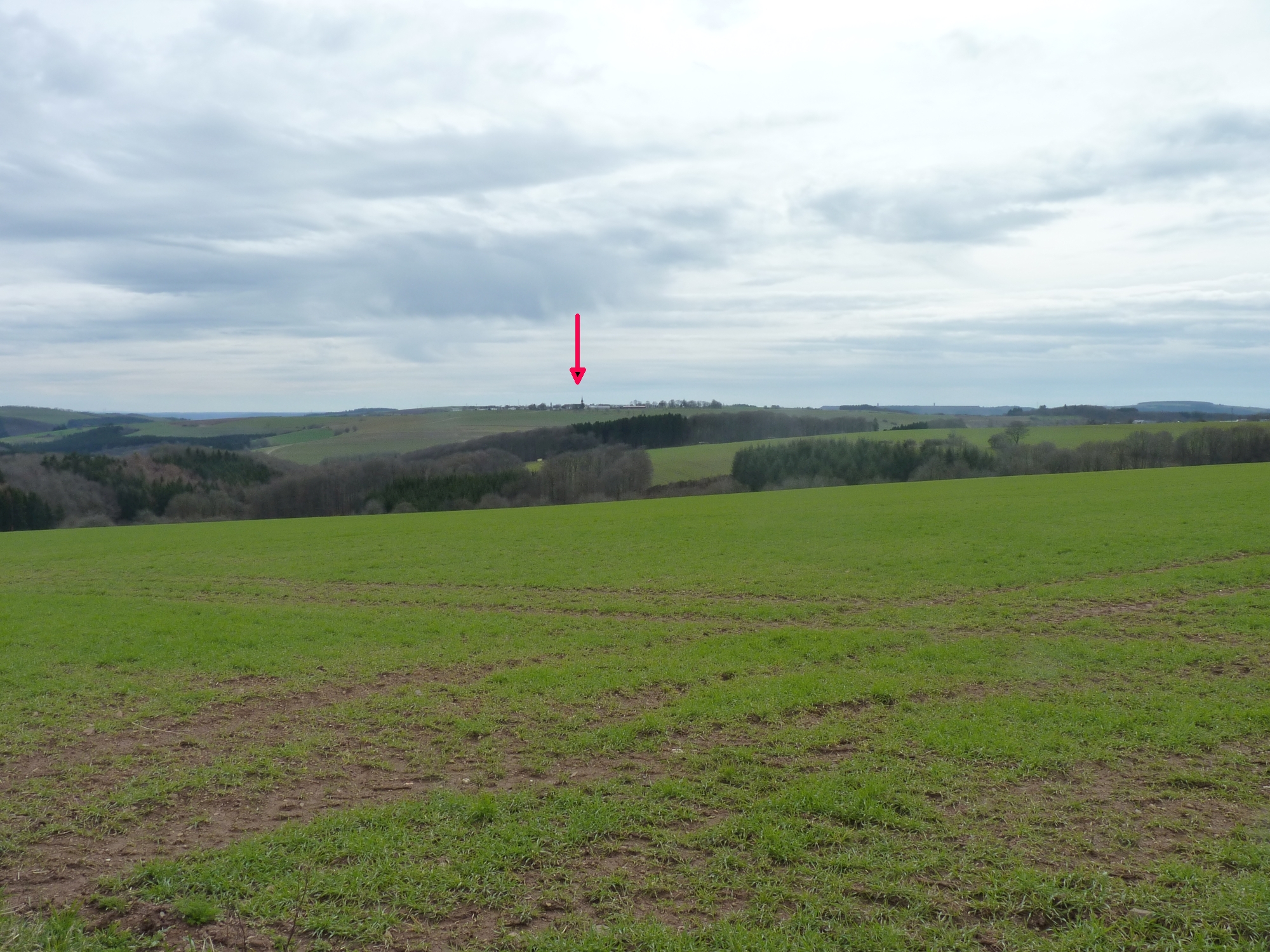 Lage von Rodershausen inmitten von Wiesen und Wäldern