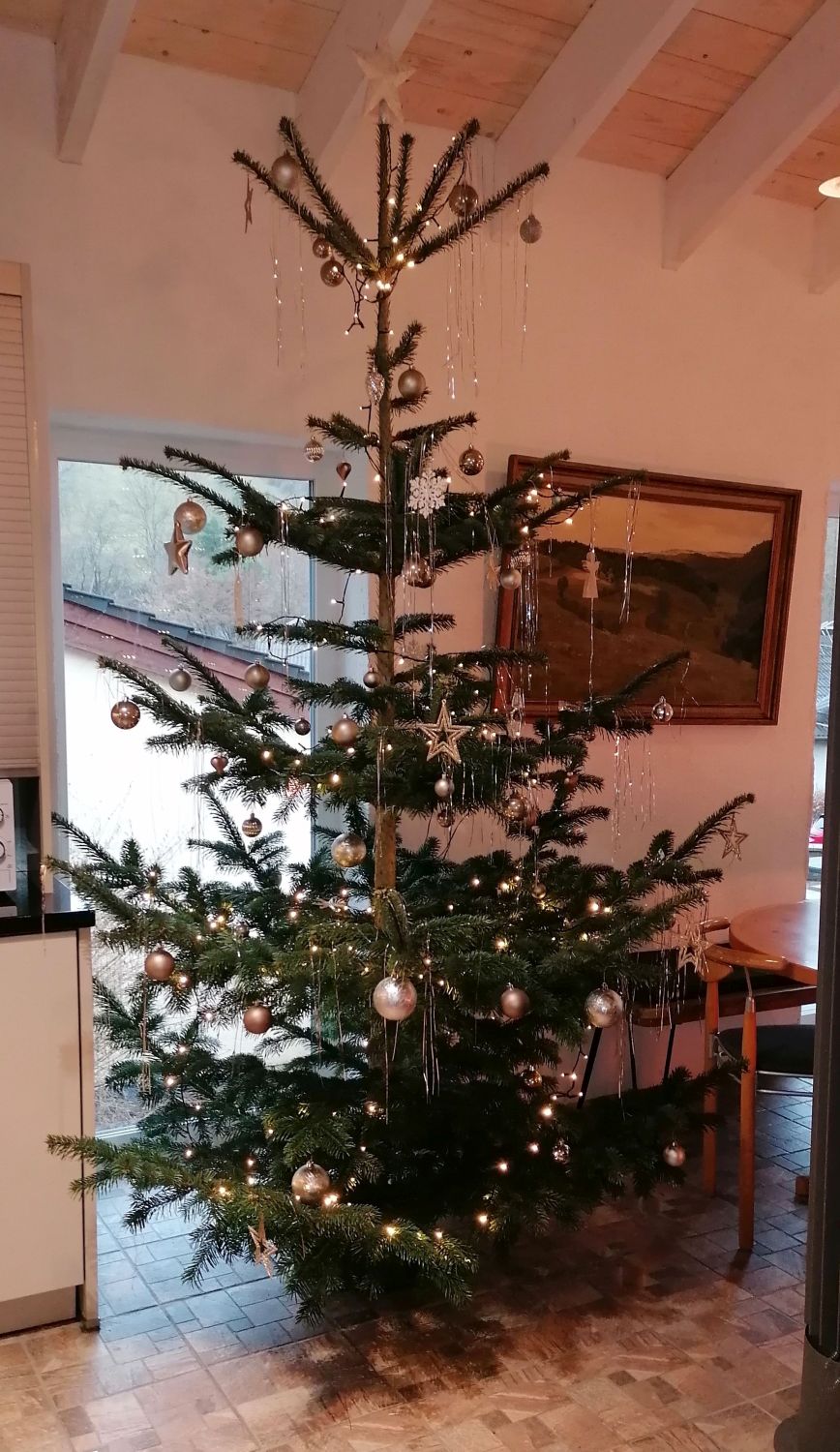 Weihnachtsbaum im Ferienhaus Enztal