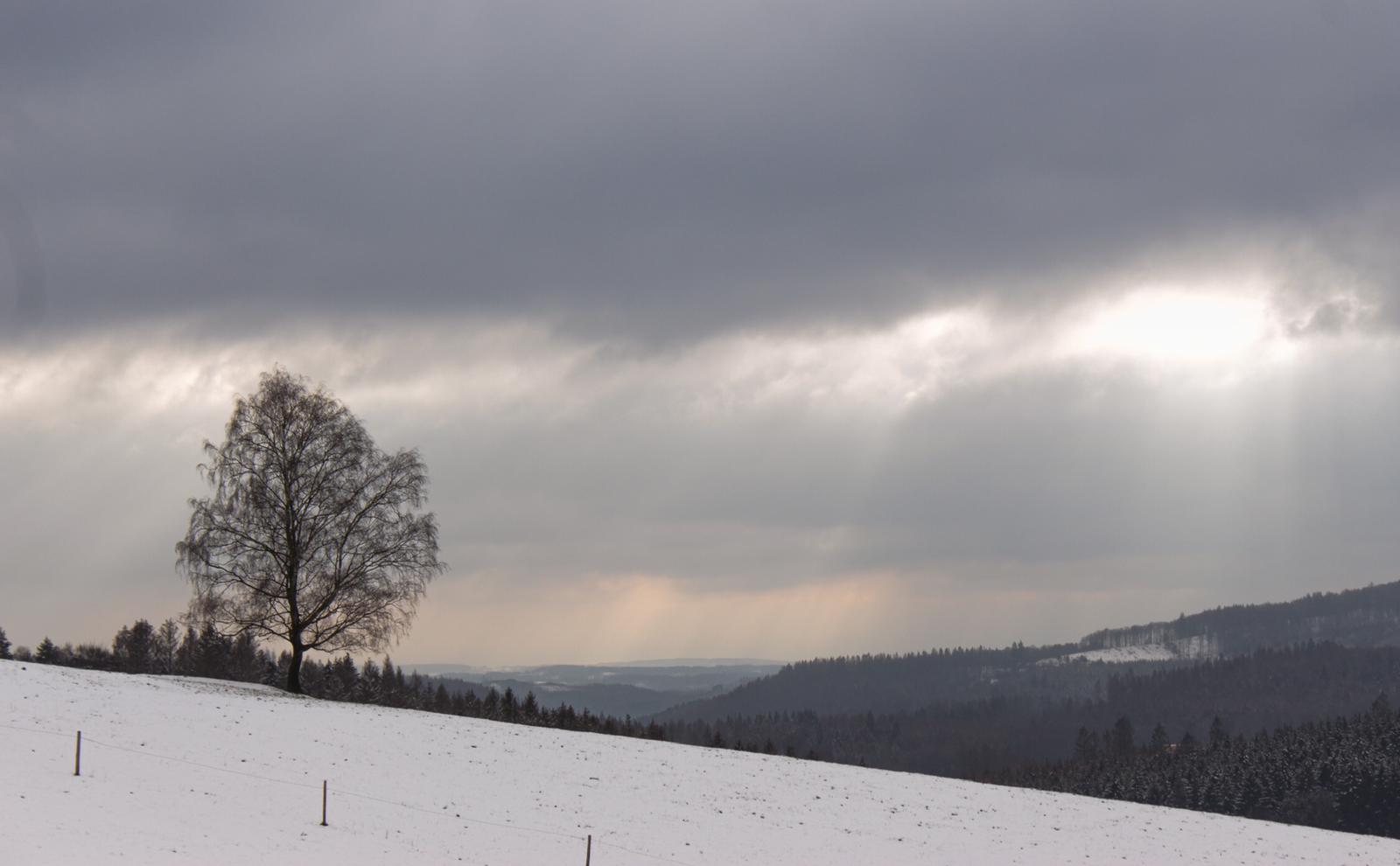 Schneelandschaft